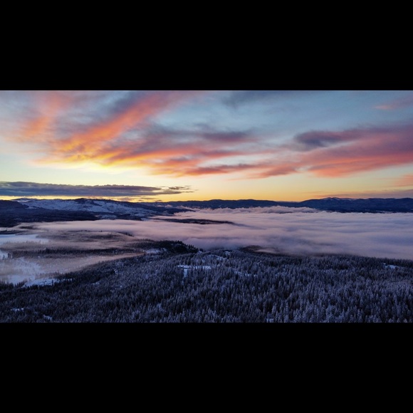 Meet your Posher, Phillip - Picture 6 of 8